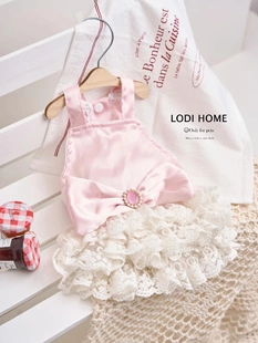 洛迪家春夏比熊贵宾粉色蕾丝公主裙猫咪泰迪猫狗宠物小中型犬衣服