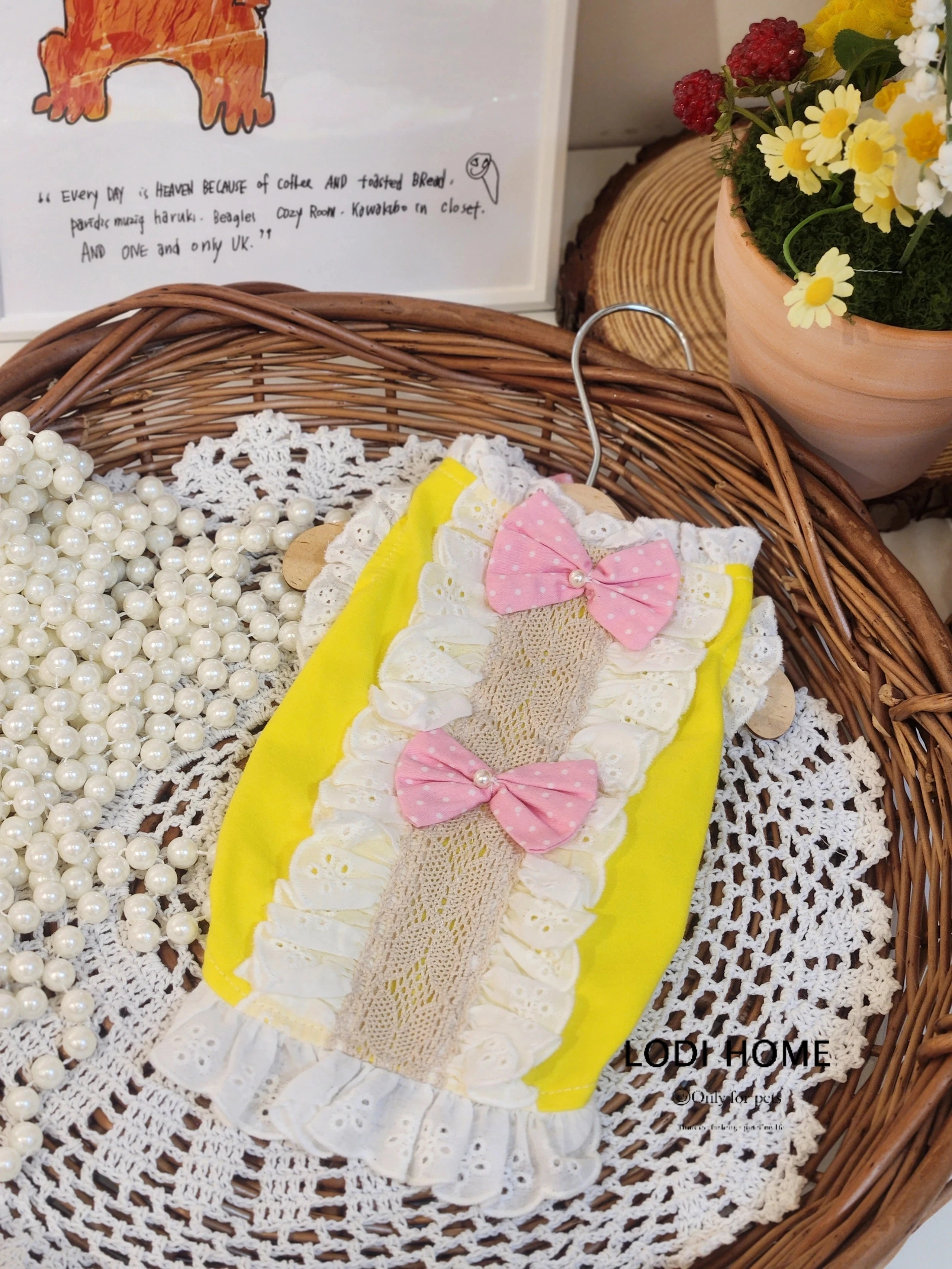 洛迪家比熊贵宾蕾丝蝴蝶结裙猫咪泰迪猫狗宠物小中型犬衣服春夏装