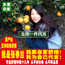 包邮 正宗赣南脐橙礼盒装 现摘带叶脐橙甜橙子新鲜水果孕妇水果20斤