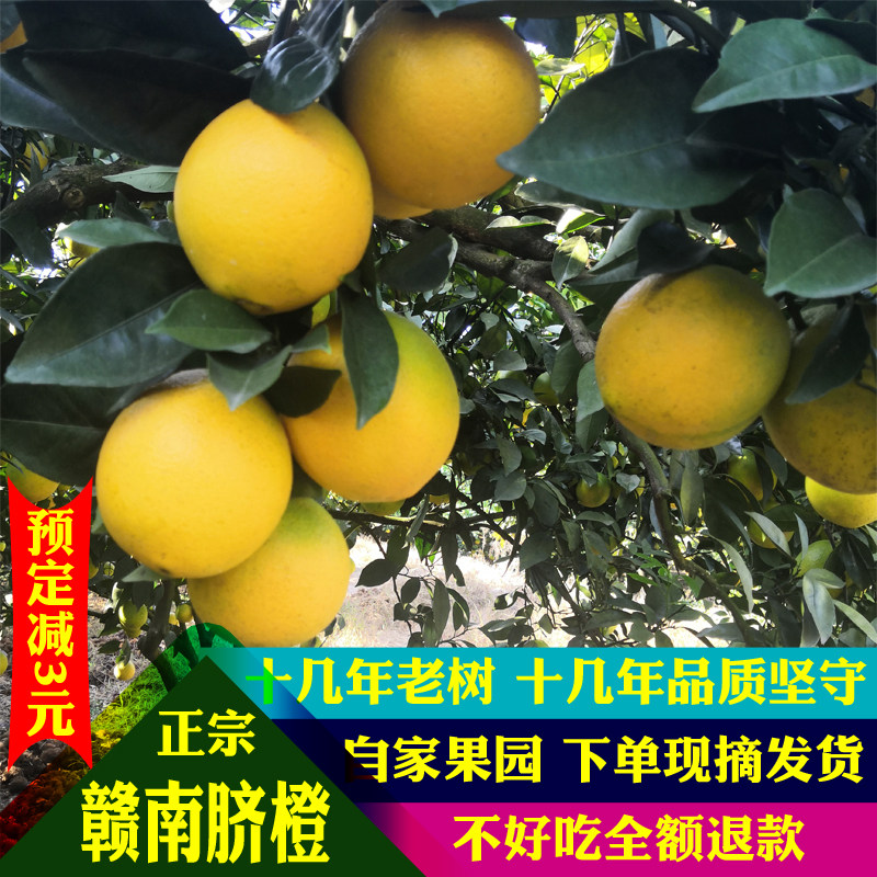 正宗赣南脐橙礼盒装现摘带叶脐橙甜橙子新鲜水果孕妇水果新鲜包邮