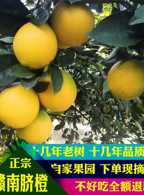 正宗赣南脐橙礼盒装现摘带叶脐橙甜橙子新鲜水果孕妇水果20斤包邮