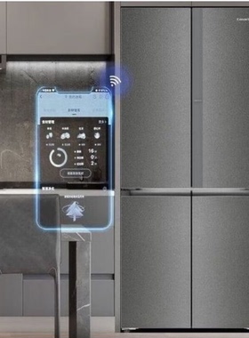 Casarte/卡萨帝 BCD-519WGCTDM4DCU1