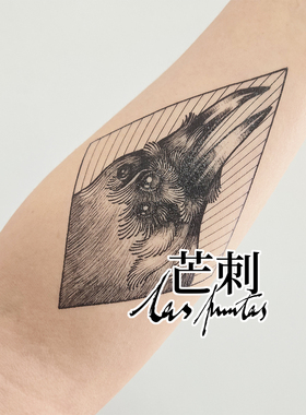 芒刺原创文身贴|乌鸦|黑色哥特防水持久文艺手绘线条纹身贴Tattoo
