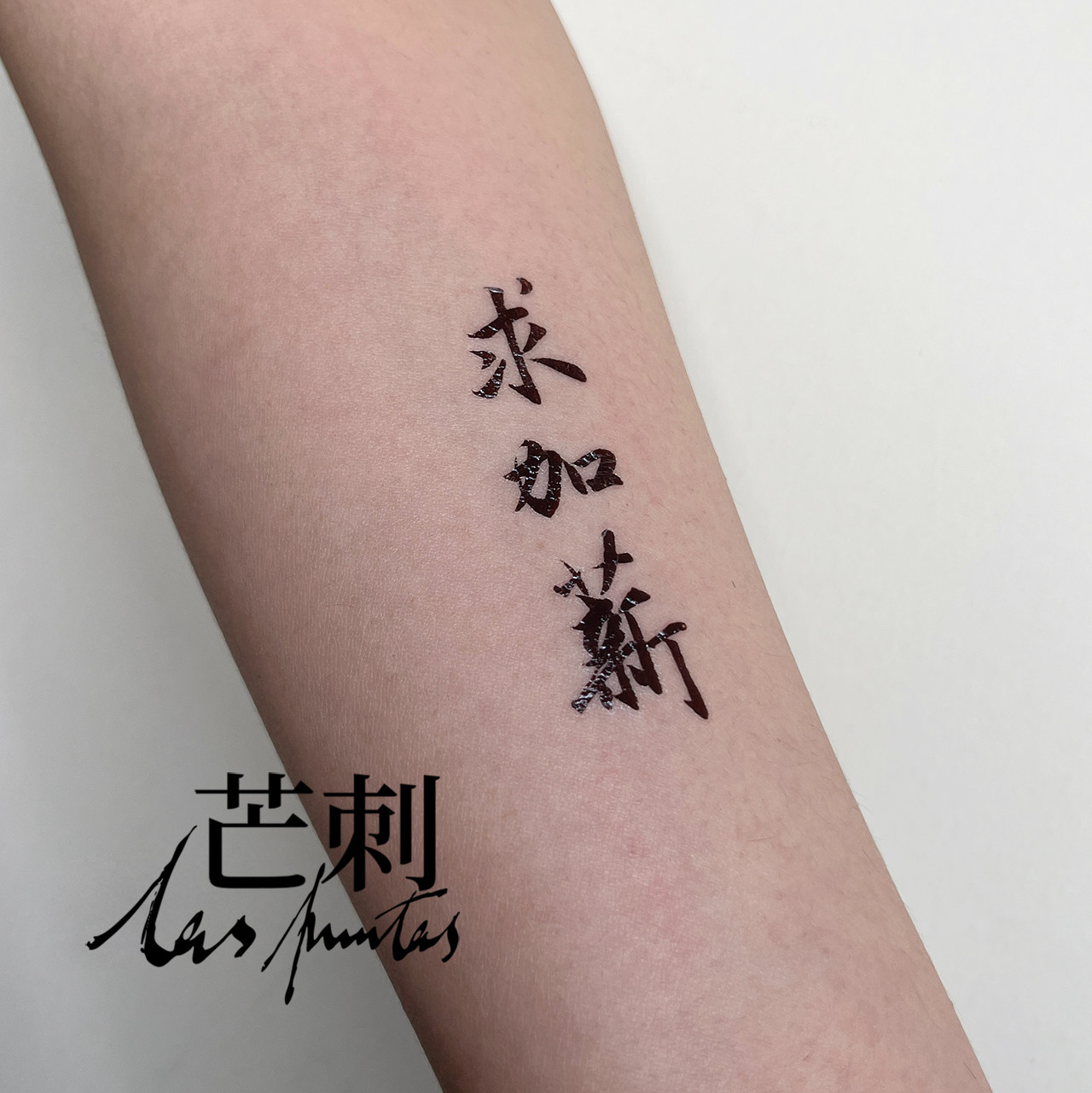 芒刺原创|求加薪|书法文字汉字国风防水持久个性文艺新中式纹身贴