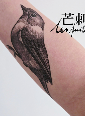 芒刺原创文身贴|灰眶雀鹛|黑色手绘防水持久鸟纹身贴小众风高级感