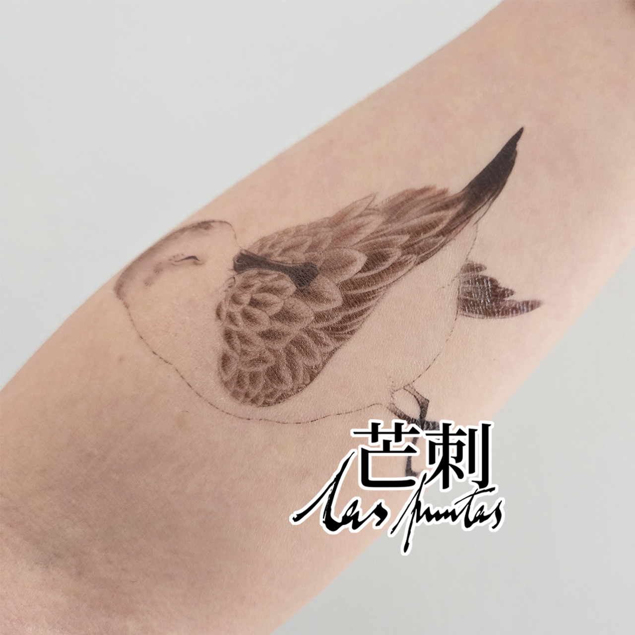 芒刺原创文身贴|勺嘴鹬|鸟类彩绘彩色小勺子防水持久可爱纹身贴