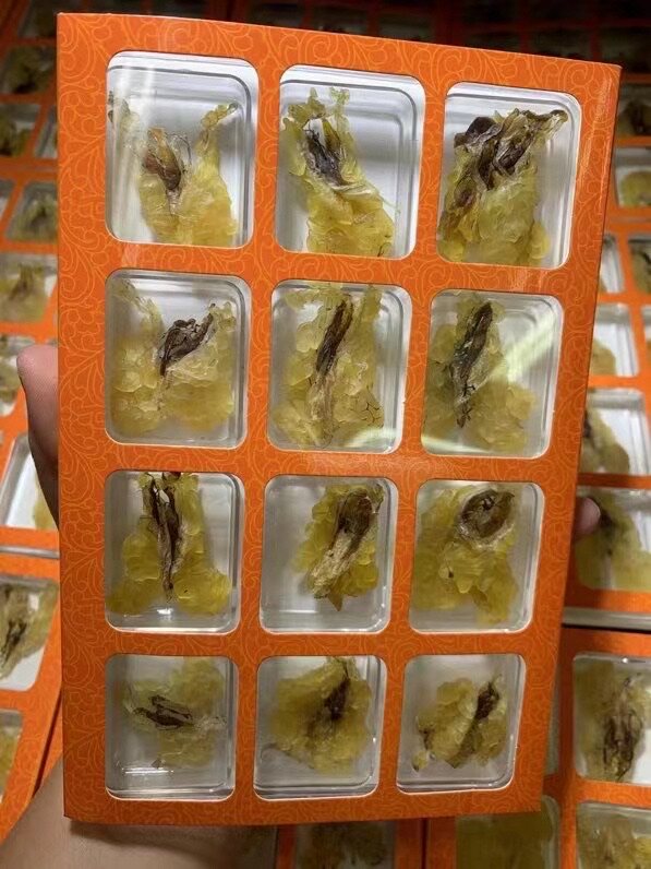 雪蛤油东北长白山雪蛤林蛙油正品雪蛤油蛤蟆油雪哈膏25克干货