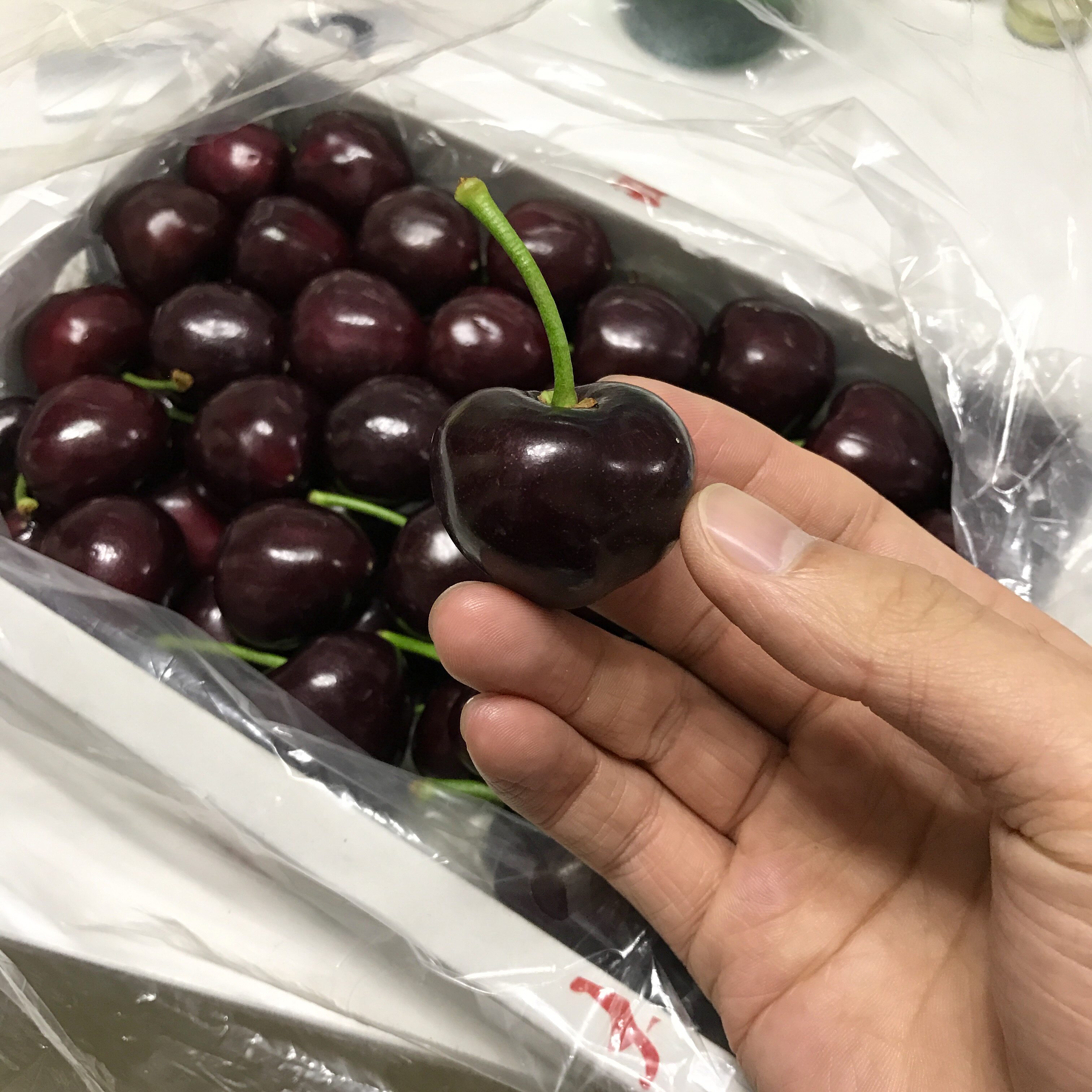 大连樱桃新鲜上市特级黑珍珠国产车厘子2斤顺丰包邮