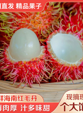 【顺丰】海南红毛丹毛荔枝新鲜热带应季水果红牡丹当季现摘孕妇果