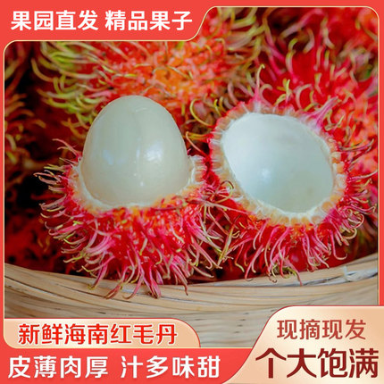 海南红毛丹毛荔枝新鲜热带应季水果红牡丹当季现摘孕妇水果包邮