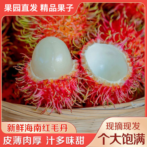 【顺丰】海南红毛丹毛荔枝新鲜热带应季水果红牡丹当季现摘孕妇果