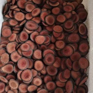 长白山鹿茸全蜡片干鹿茸片散装 片量大食品礼盒材新货参茸