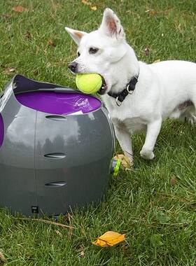 贝适安PetSafe自动抛球机 宠物狗玩具网球发射投球器.