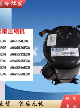 AG133UT-003-A4 AGC5561EXG AG133UT-003-C4美国泰康5P空调压缩机