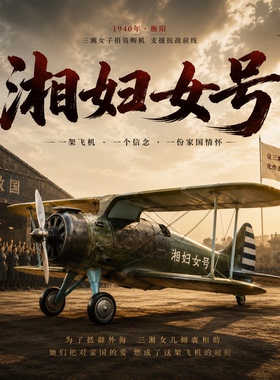 1940抗日救国湖南献机湘妇女号苏联伊15战斗机博物馆展示收藏展览