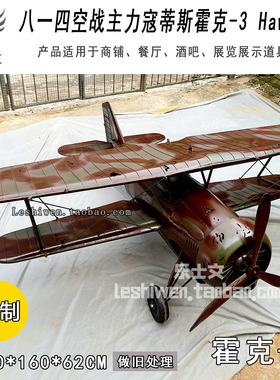 八一四空战空军主力霍克-3战斗机