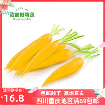 黄胡萝卜 黄手指萝卜彩色胡萝卜 特色蔬菜 yellow carrot 500G