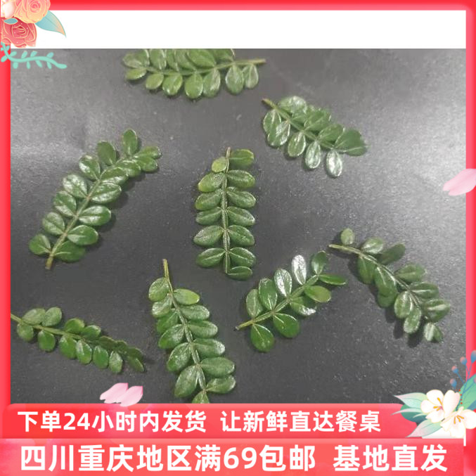 新鲜清香木 西餐盘饰特殊农产品顺丰包邮40片/盒