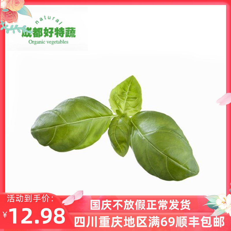 基地直供罗勒叶金不换特色食材新鲜香料顺丰包邮Basil 100G