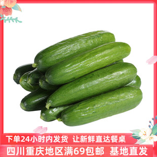 cucumber 包邮 500g 小黄瓜新鲜沙拉蔬菜顺丰 成都好特蔬水果黄瓜
