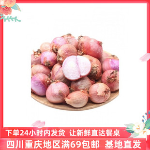 成都好特蔬干葱小洋葱新鲜蔬菜西餐特色食材顺丰包邮500克Shallot