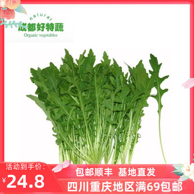 成都好特蔬新鲜沙拉蔬菜芝麻菜芝麻叶顺丰包邮 Arugula 500G