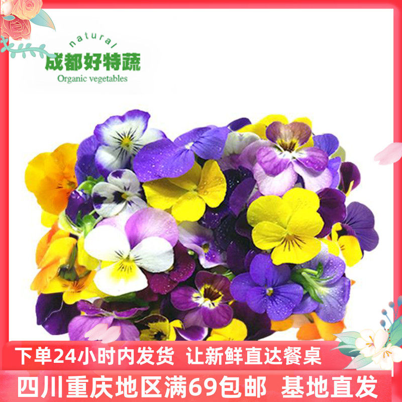 成都好特蔬三色堇鸢尾花西餐装饰花顺丰包邮50朵盒