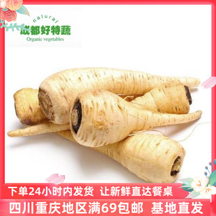 成都好特蔬防风根欧洲胡萝卜新鲜蔬菜特色食材包邮 Parsnip 500克