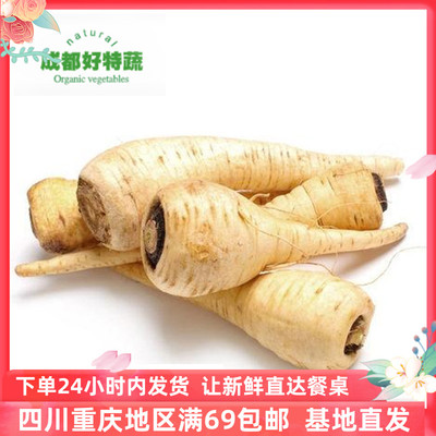 成都好特蔬防风根欧洲胡萝卜新鲜蔬菜特色食材包邮 Parsnip 500克