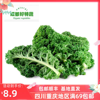 羽衣甘蓝kale500克西餐食材蔬菜