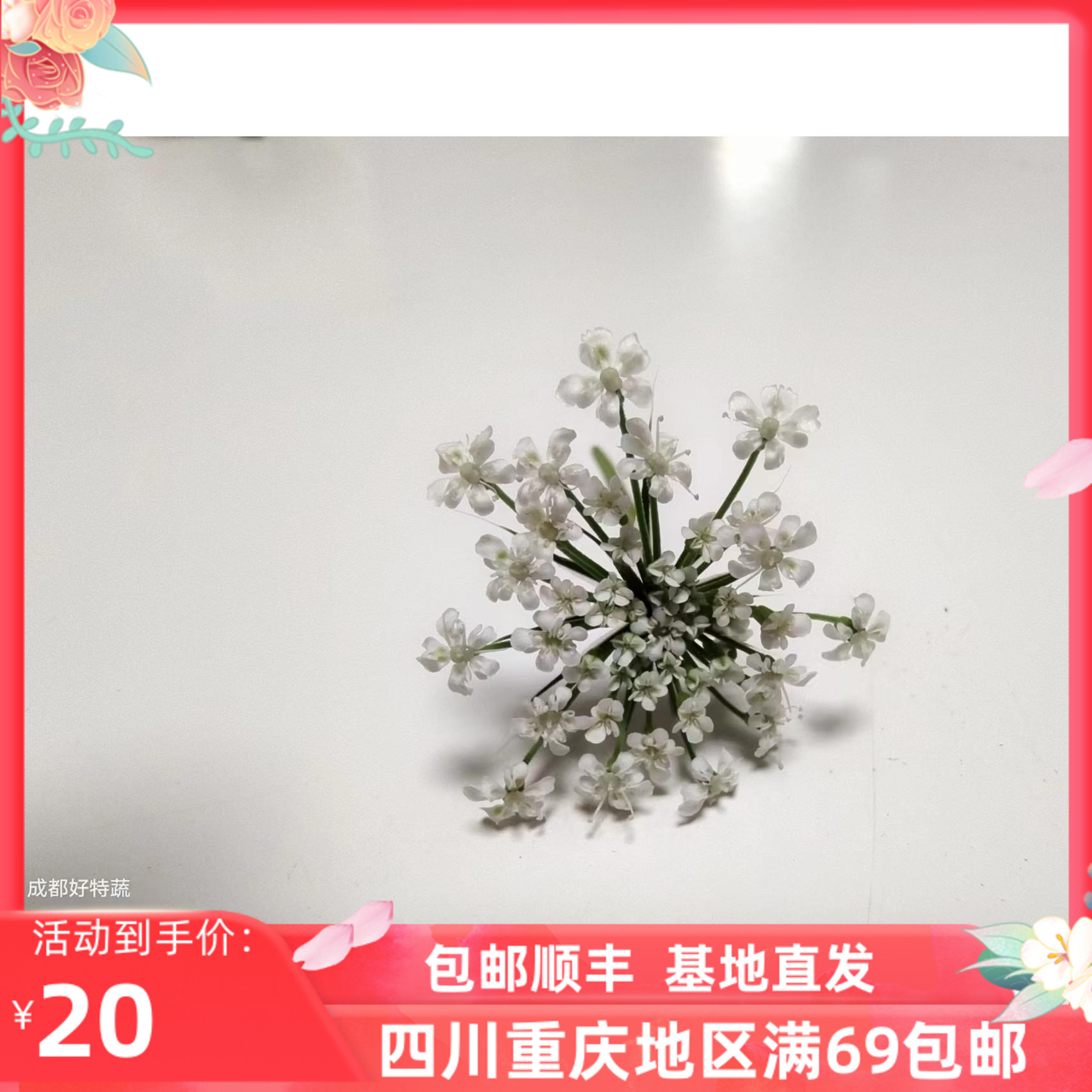新鲜蕾丝花创意餐西餐摆盘装饰