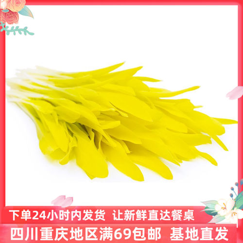 玉米苗西餐盘式装饰可食用花苗特色食材顺丰包邮corn cress 1盒