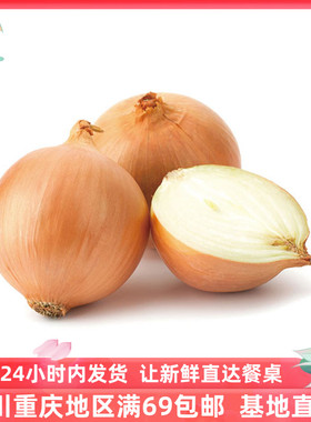 成都好特蔬白洋葱新鲜蔬菜西餐烧烤食材2斤装White onion顺丰包邮