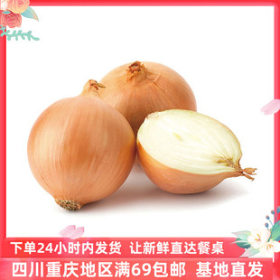 成都好特蔬白洋葱新鲜蔬菜西餐烧烤食材2斤装White onion顺丰包邮