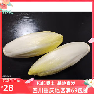 新鲜蔬菜金玉兰菜芽球菊苣低脂轻食素食菜沙拉西餐食材/斤