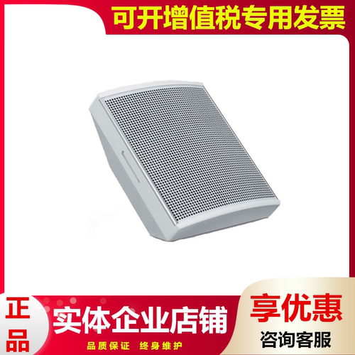 TOTB H-C810 会议场馆音箱10寸全频 家用演出壁挂音响木质 二分频