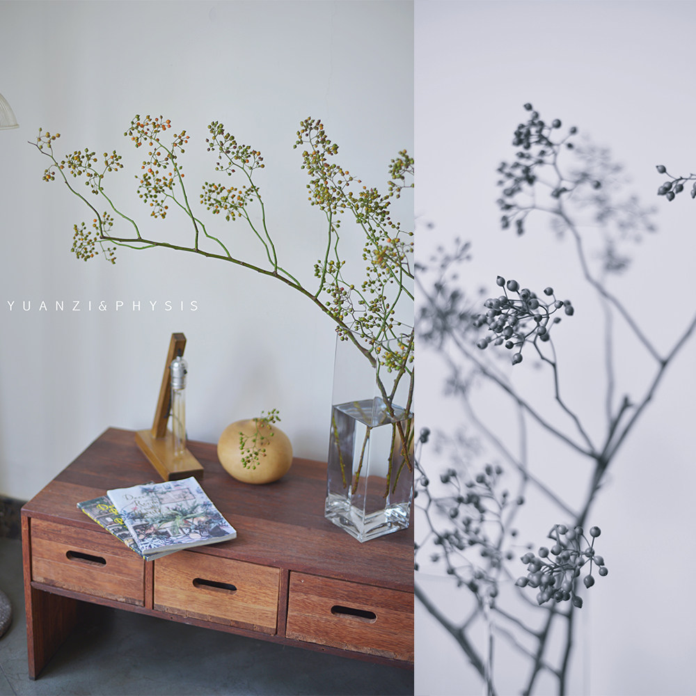 PHYSIS一期一会｜山归来蔷薇果鲜切枝条超长观赏期可制干果超长,鲜花速递/花卉仿真/绿植园艺,花材,淘宝优惠券,粉丝福利购,淘宝优惠卷