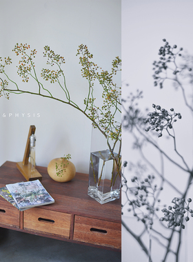 PHYSIS一期一会｜山归来蔷薇果鲜切枝条超长观赏期可制干果超长