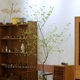 PHYSIS日本吊钟进口鲜切枝条室内家居装 饰森系绿植水养超长期