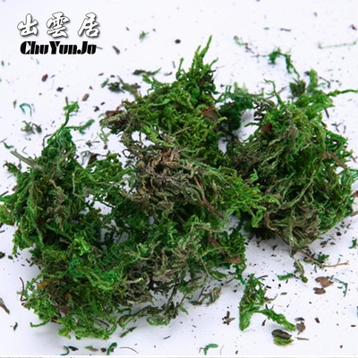 仿真插花舞台道具青苔