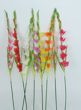 仿真剑兰菖蒲兰菖兰扁竹莲锦十三太保苍兰客厅酒店装饰花昌兰箭兰