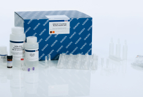 QIAGEN 55114 血清血浆核酸纯化试剂盒 QIAamp Circulating N 50T