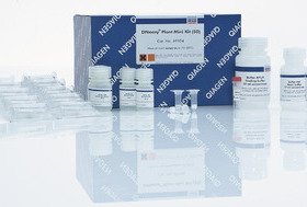 QIAGEN 69106 植物基因组DNA小提试剂盒 DNeasy Plant Mini 250T