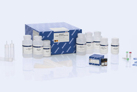 QIAGEN 12462 大分子量DNA提取试剂盒 Large-Construct Kit 10T