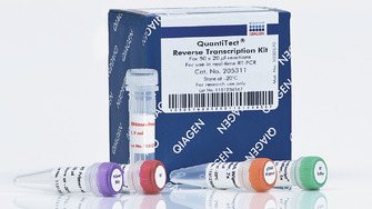QIAGEN 205311 反转录试剂盒 QuantiTect Reverse Transcript 50T