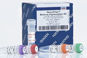 QIAGEN 205311 反转录试剂盒 QuantiTect Reverse Transcript 50T