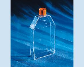 康宁Corning  150cm正方透气盖斜口细胞培养瓶430825 5个/包