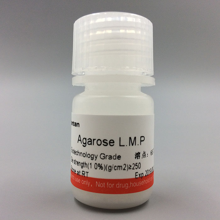 科研 低熔点琼脂糖 Agarose L.M.P 9012-36-6 Promega V3121 2.5g