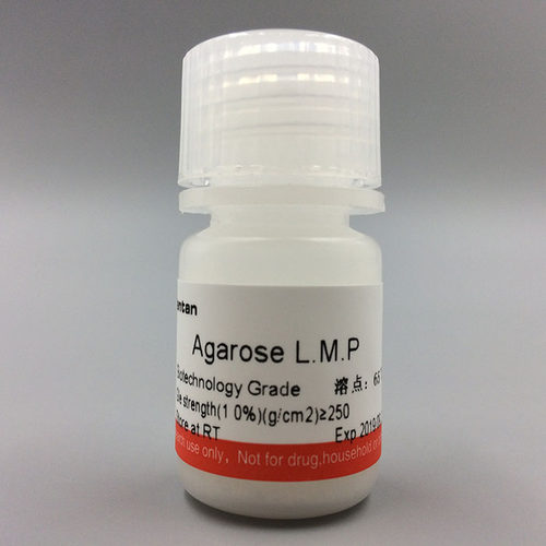 科研 低熔点琼脂糖 Agarose L.M.P 9012-36-6 Amresco 0815 2.5G