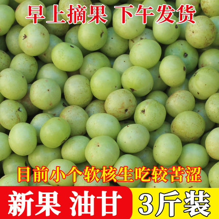 3斤新鲜油甘果青滇橄榄孕妇酸水果牛甘果余甘子油柑子余甘果